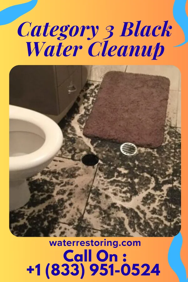 Category 3 Black Water Cleanup in Big Falls, WI