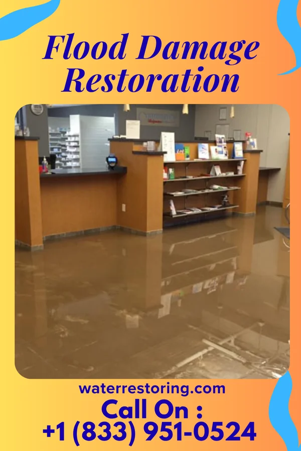 Flood Damage Restoration in Big Falls, WI