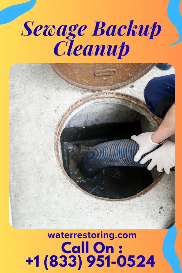 Sewage Backup Cleanup in Big Falls, WI