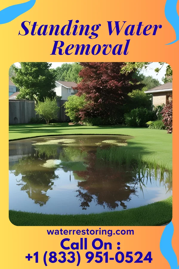 Standing Water Removal in Big Falls, WI